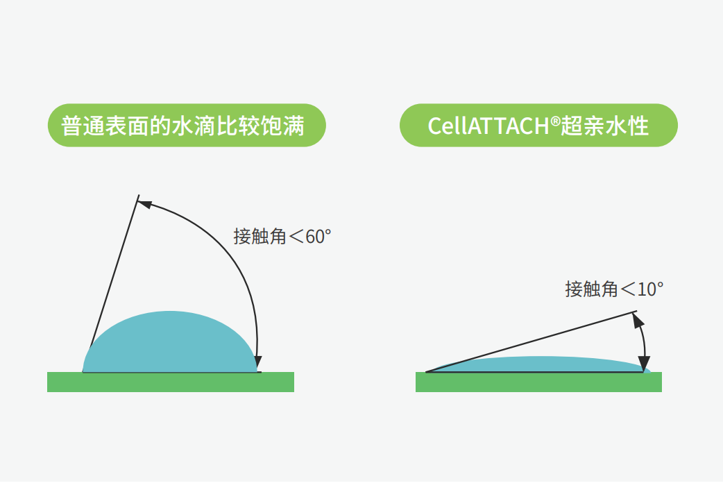 独特的超亲水表面处理技术，能为细胞提供更好的吸附性，促进细胞快速贴壁生长，提高产量